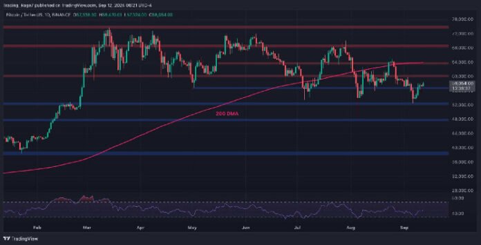 BTC Is on its Way to $60K and $64K if it Remains Above This Level